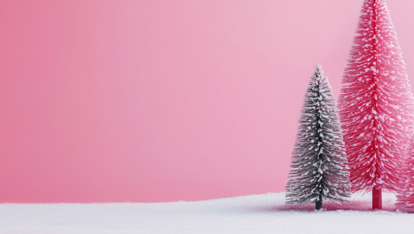 Happy Holidays and a Great Start to 2025!